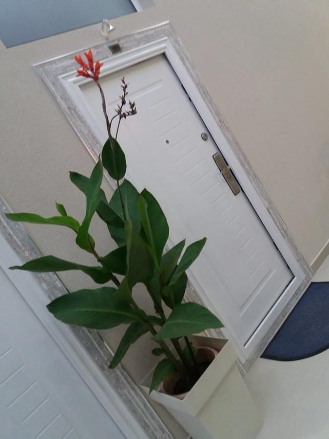 Atina Lux Hostel เลสโควัซ ภายนอก รูปภาพ